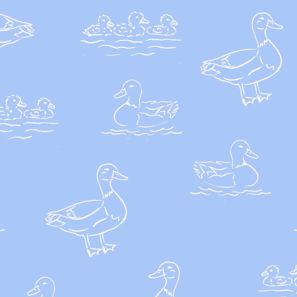 Krewe Boys Lucas Blue Ducks Print Bubble