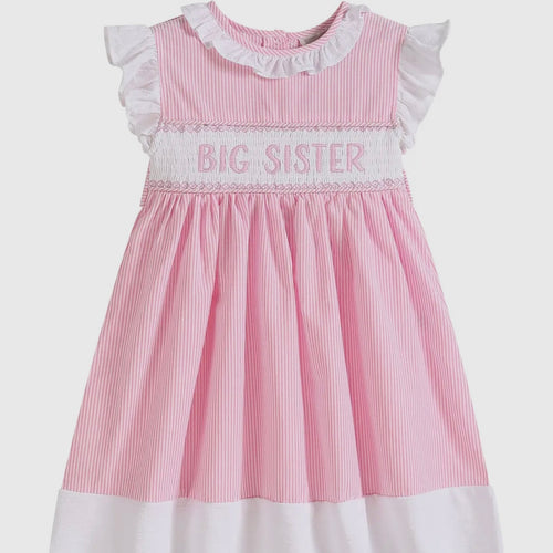 Lil Cactus Pink Stripe Big Sister Dress