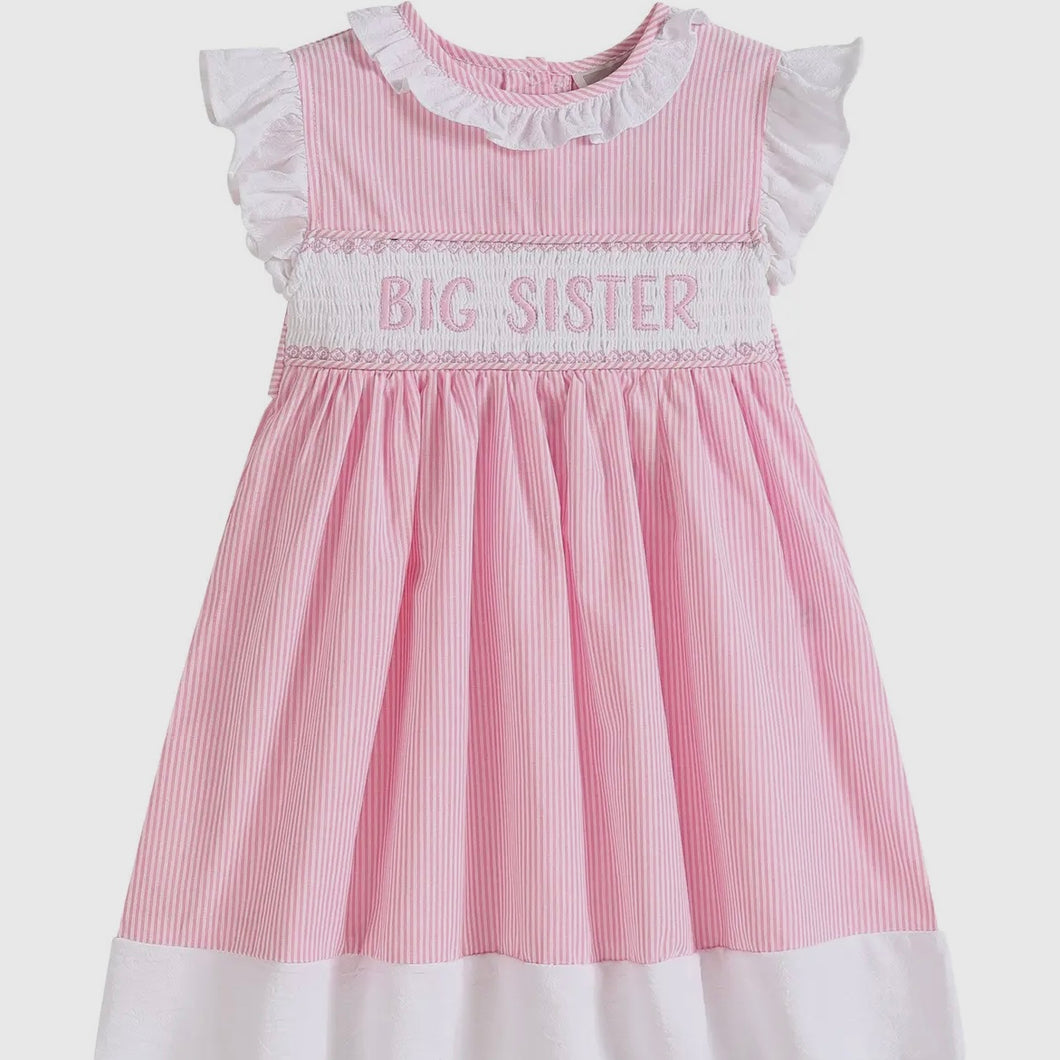 Lil Cactus Pink Stripe Big Sister Dress