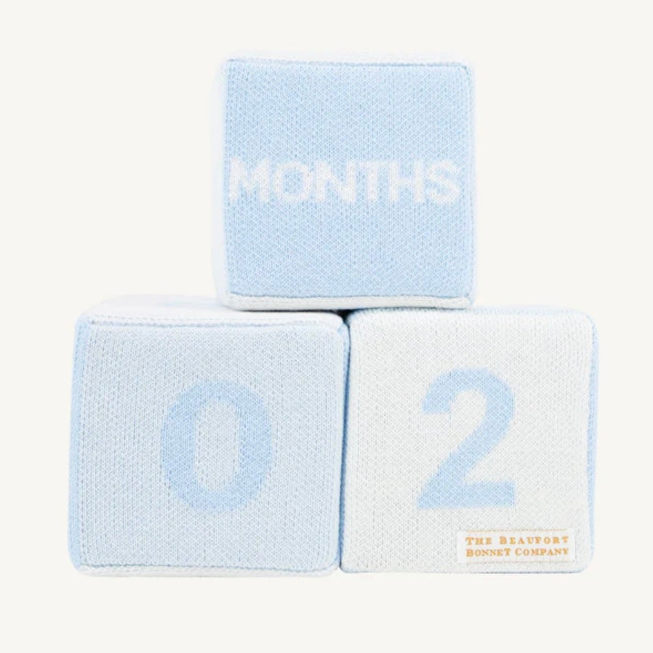 Beaufort Bonnet Blaylock Blocks-Available in Pink and Blue