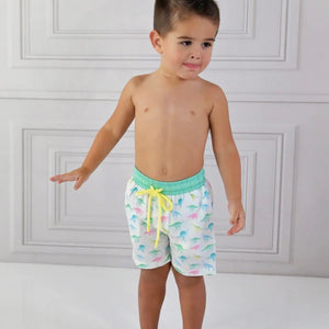 Swoon Baby Boys Dinosaur Print Swimsuit